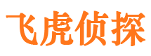 禹会侦探公司